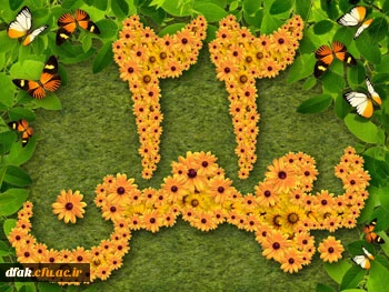 سلام برتو ای مطلع فجر! ای سپیده سحر، ای انفجار نور، خوش‏آمدی. دهه فجرمبارک