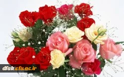 کسب رتبه های برتر جشنواره