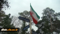 جشن فجر انقلاب