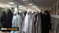 اردوی دانشجویی