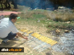 اردوی غار کوگان