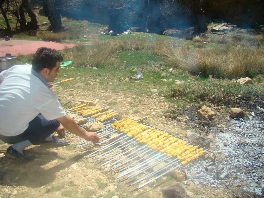 اردوی غار کوگان