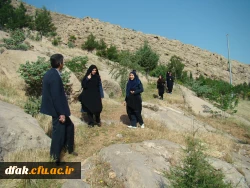 کوهپیمایی همکاران پردیس کمالوند