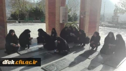 گزارش فرهنگی