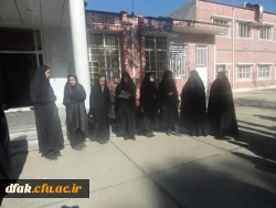 تریبون آزاد