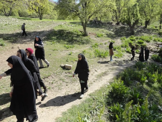 اردوی دانشجویی ،منطقه نوژیان خرم آباد