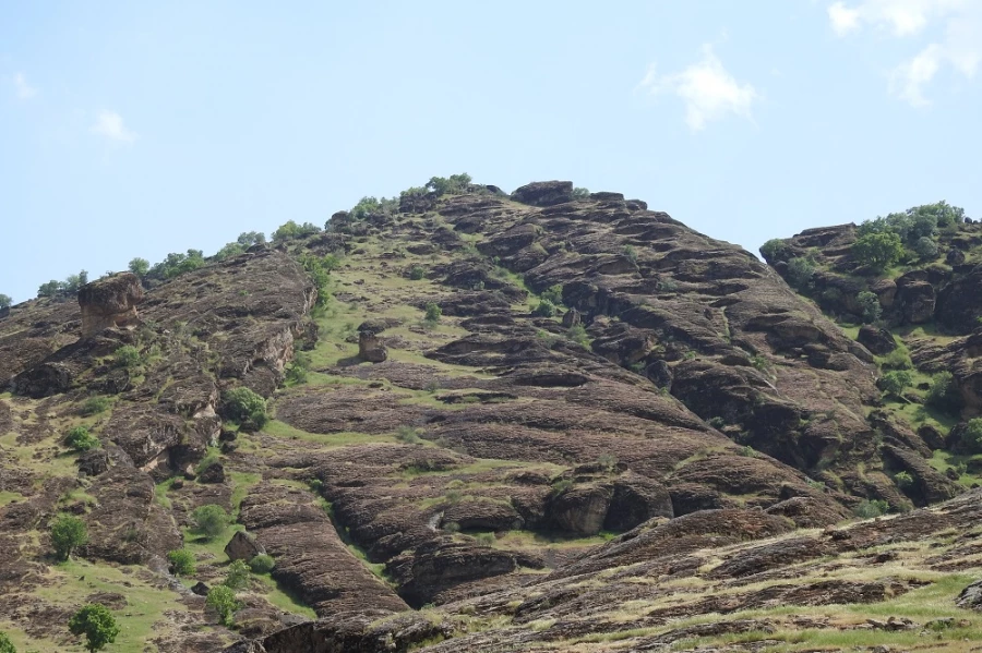 برگزاری اردوی تفریحی به مناسب هفته سرآمدی آموزش و سراهای دانشجویی