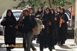 استقبال از زائرین کربلا( گزارش تصویری)