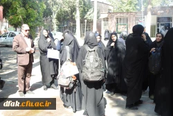 استقبال از زائرین کربلا( گزارش تصویری)