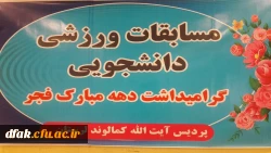 مسابقات دارت گرامیداشت دهه مبارک فجر 2