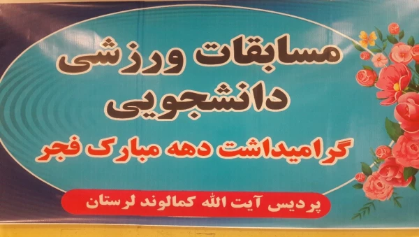 مسابقات دارت گرامیداشت دهه مبارک فجر 2