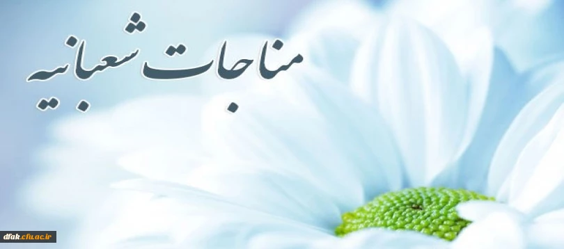 حلول ماه شعبان  ماه پیامبر رحمت مبارک 8