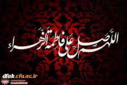 در حریم فاطمیّه مرغ دل پر می زند    ناله از مظلومی زهرای اطهر می زند 2