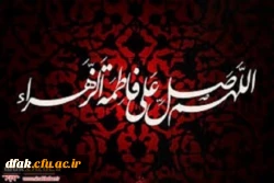 در حریم فاطمیّه مرغ دل پر می زند ناله از مظلومی زهرای اطهر می زند 2