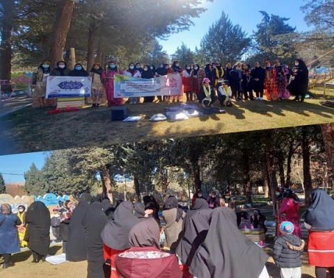 برگزاری جشنواره فرهنگی - ورزشی  5