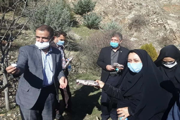 همایش کوه پیمایی کارکنان پردیس آیت اله کمالوند به مناسبت گرامیداشت دهه مبارک فجر 4