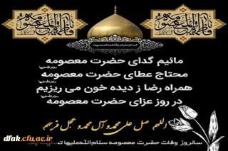 وفات شهادت گونه حضرت معصومه ( سلام الله علیها )