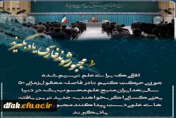 هفته کتابخوانی  2