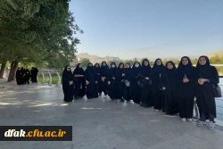 برگزاری همایش پیاده روی به مناسبت عید سعید غدیر خم  5