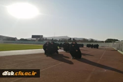 همایش پیاده روی به روایت تصویر  8