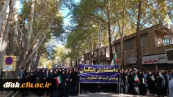 photo_2023-11-04_11-34-19