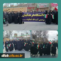 photo_2024-02-11_17-45-35