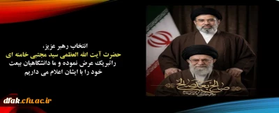 بیعت با رهبر